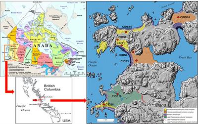 Soil Phosphorus Dynamics Across a Holocene Chronosequence of Aeolian Sand Dunes in a Hypermaritime Environment on Calvert Island, BC, Canada